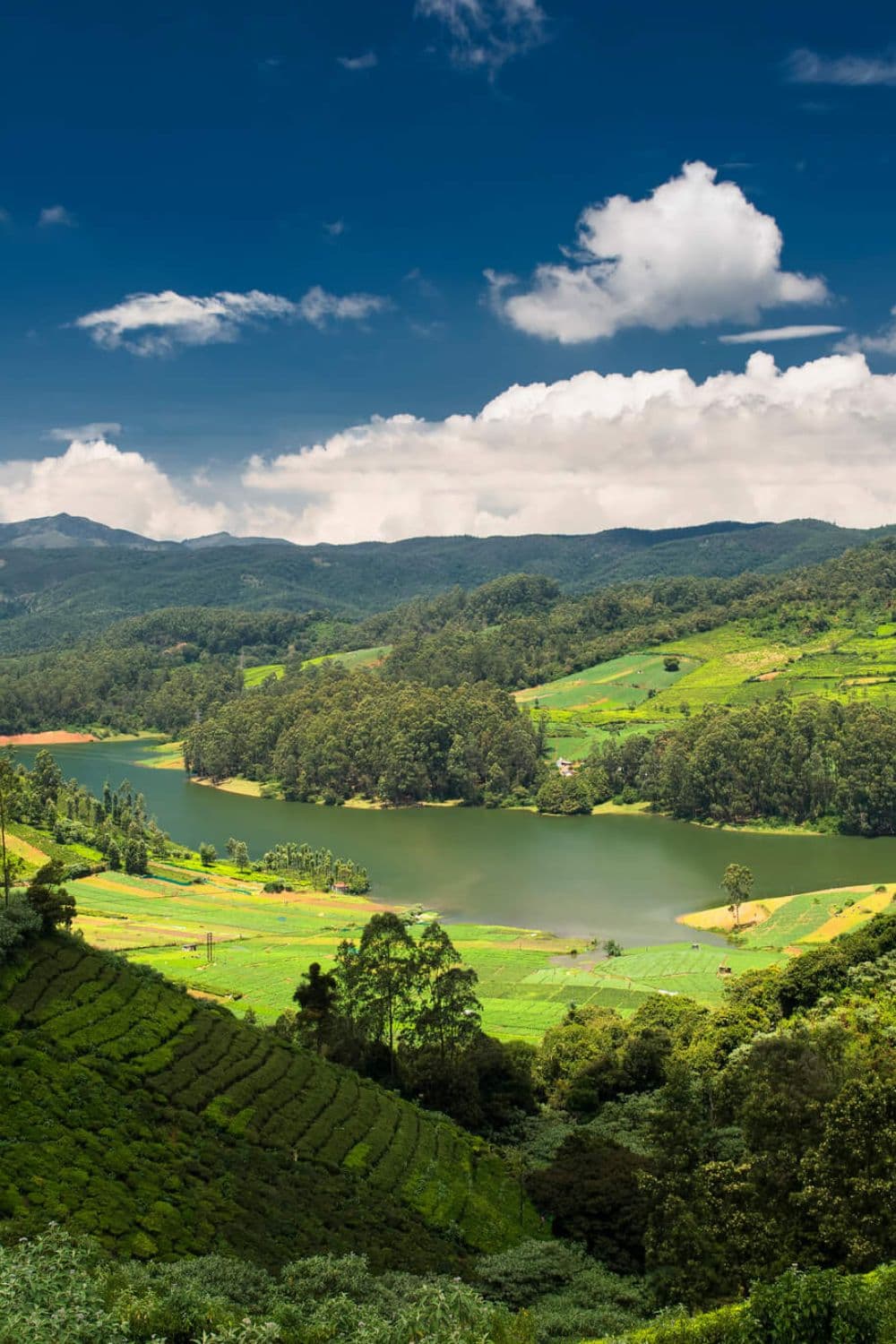 Ooty (Udhagamandalam), Tamil Nadu