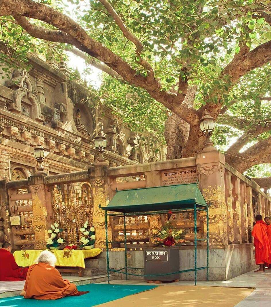 Mahabodhi Temple, Bodh Gaya photo 5