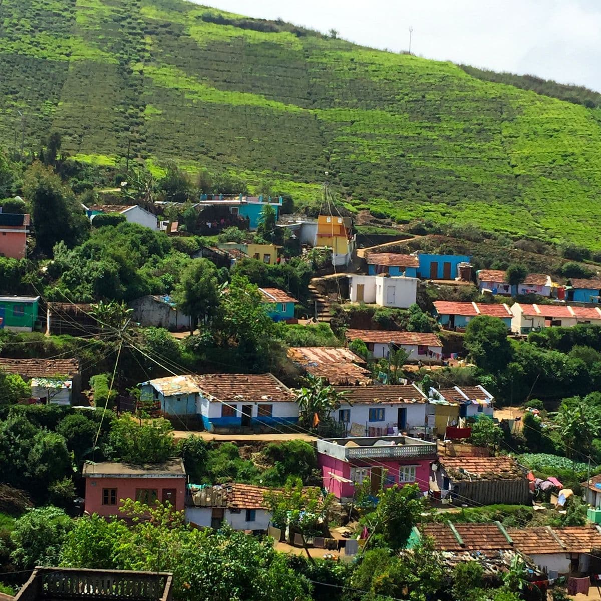 Ooty (Udhagamandalam) photo 2