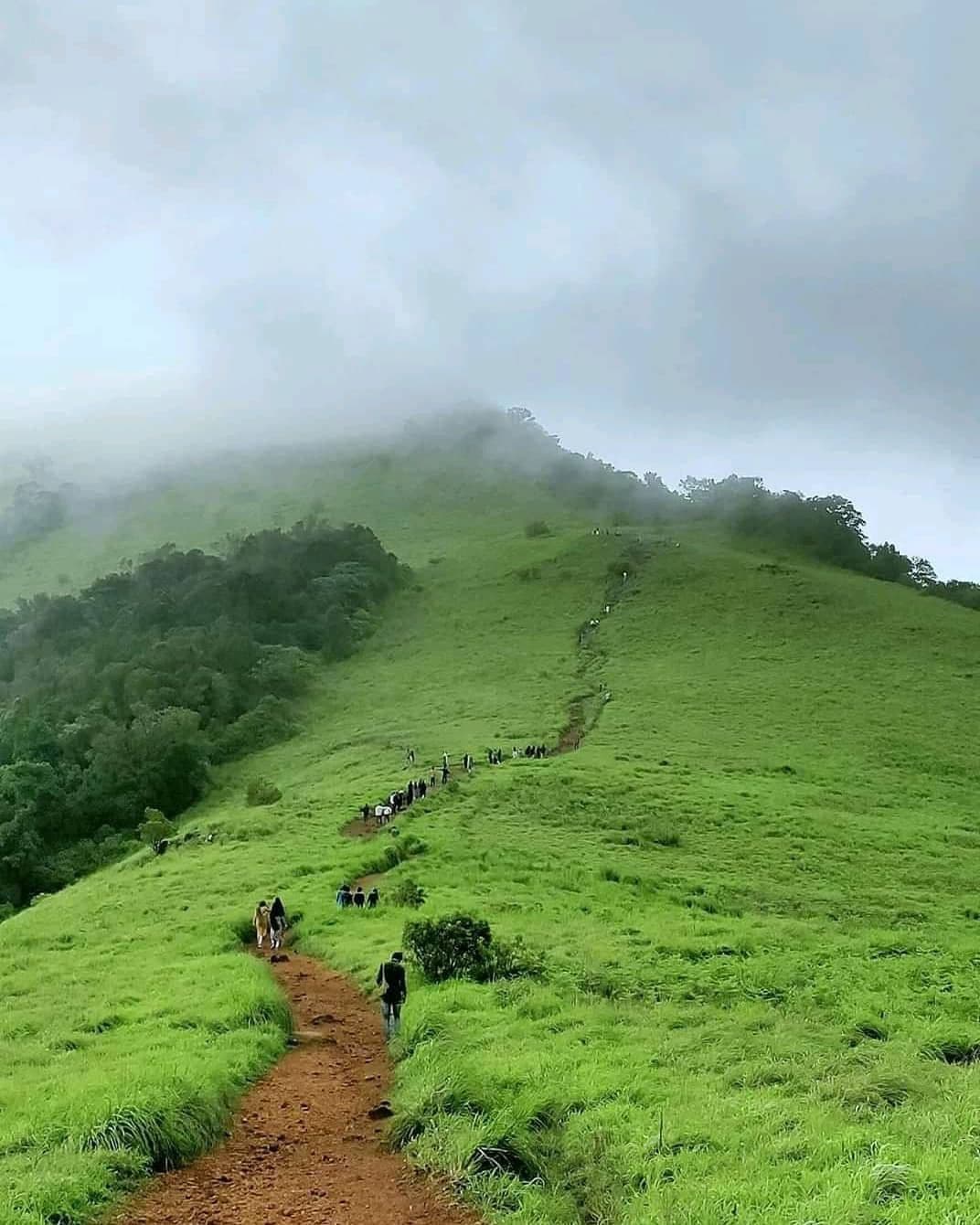 Coorg (Madikeri) photo 5