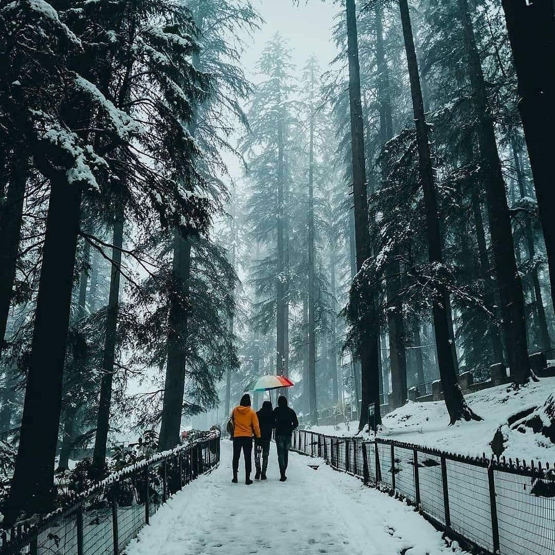 Manali photo 3