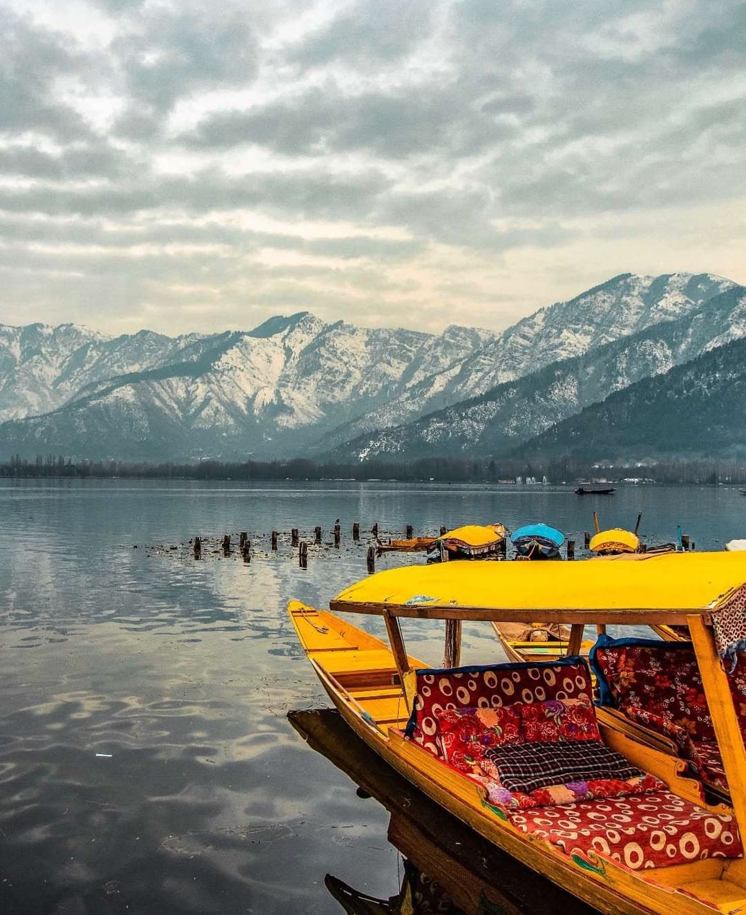 Srinagar and Dal Lake photo 4