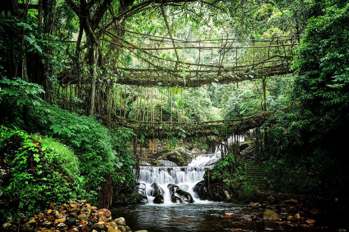 Double-decker living root bridge in Nongriat, Meghalaya