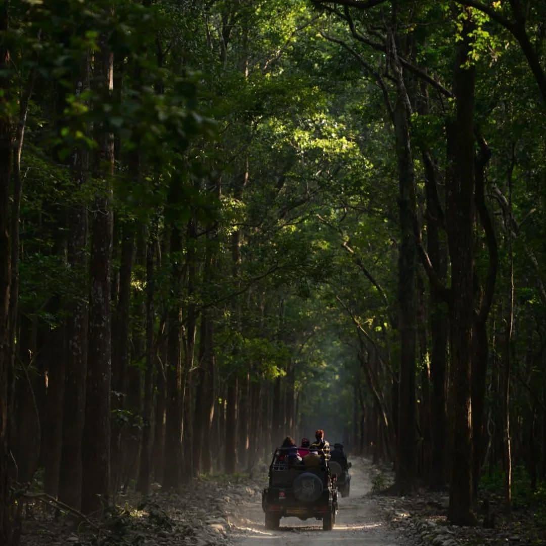 Jim Corbett National Park photo 3