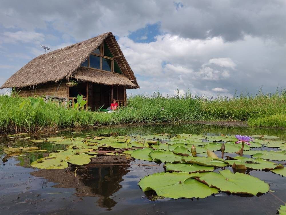 Loktak Lake photo 4