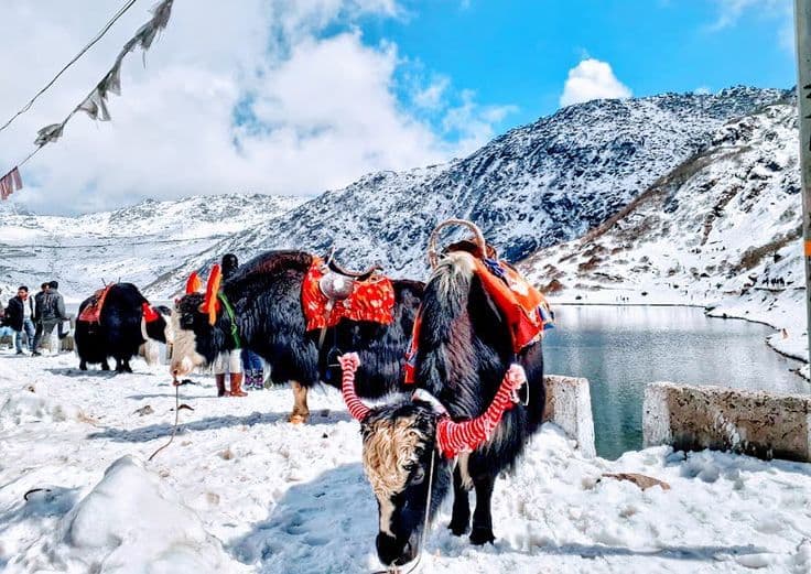 Gangtok and Tsomgo Lake photo 2