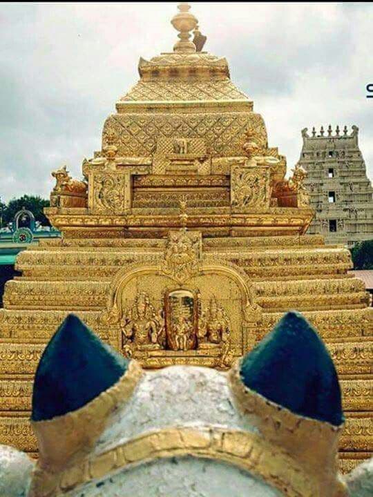 Srisailam Mallikarjuna photo 4
