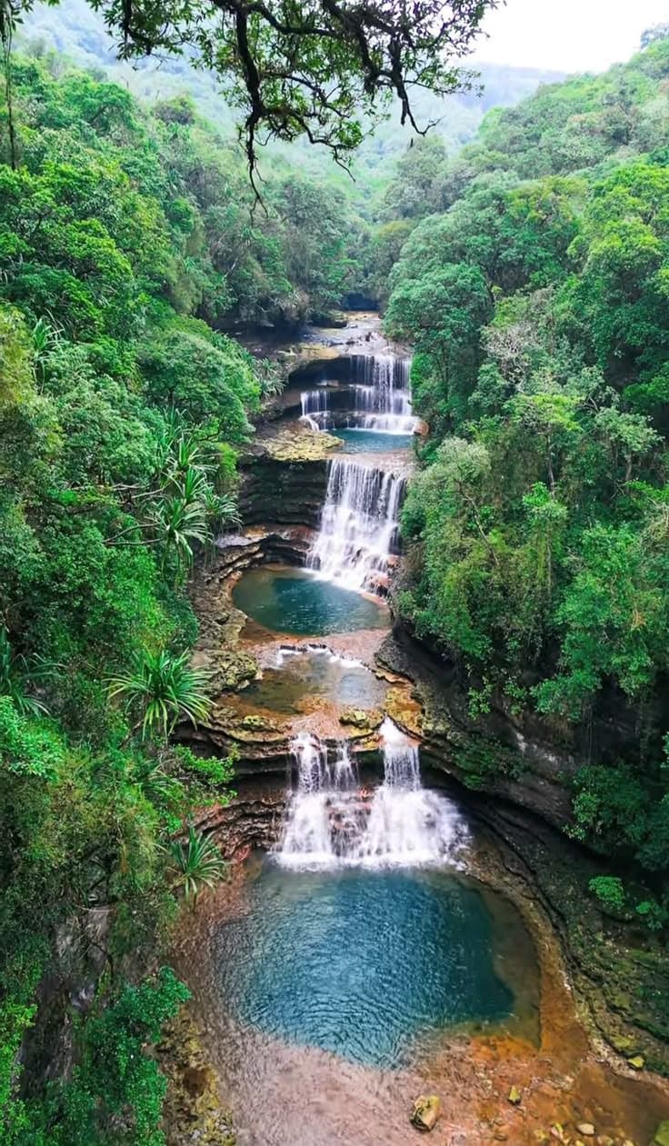 Cherrapunji Living Root Bridges photo 4