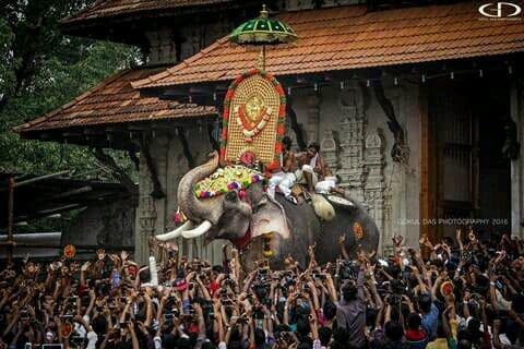 Thrissur Pooram