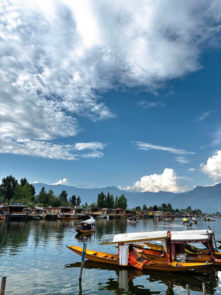 Srinagar and Dal Lake photo 3