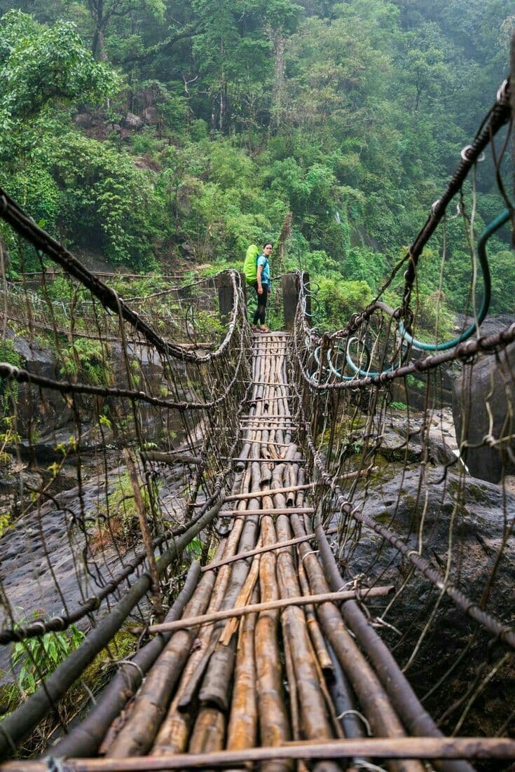 Cherrapunji Living Root Bridges photo 3