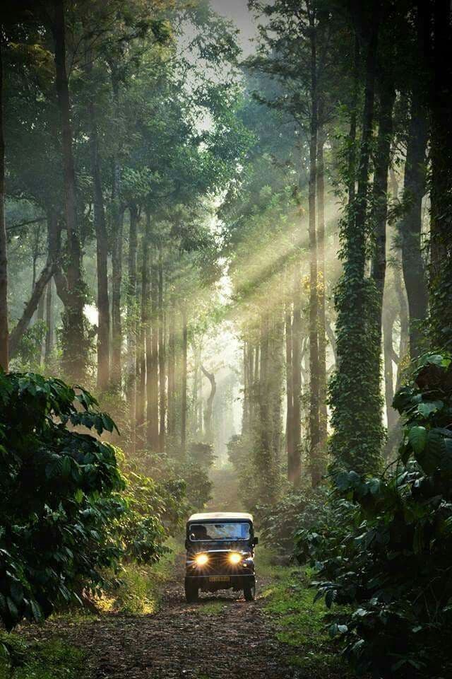 Wayanad photo 2