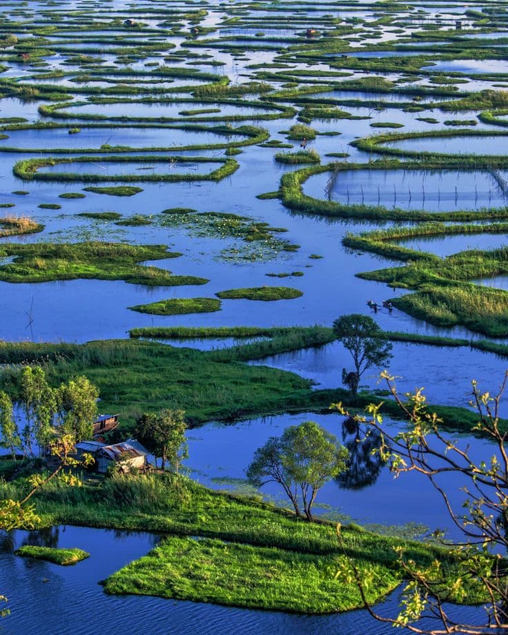 Loktak Lake photo 5