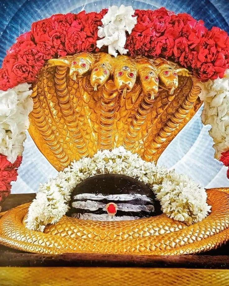 Srisailam Mallikarjuna photo 3