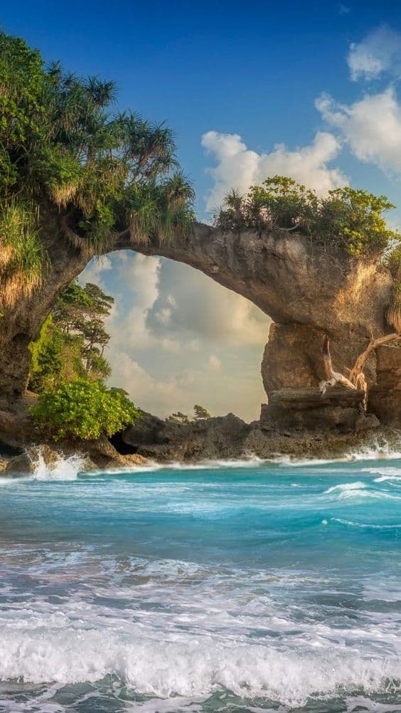 Andaman & Nicobar